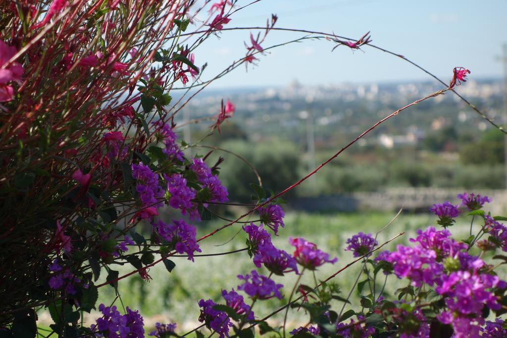 Masseria Serralta Locorotondo Bagian luar foto